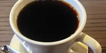 5 Minuman Sehat Untuk Kesehatan Otak