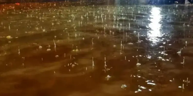 Kapan Musim Hujan Jambi