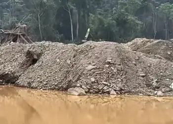 PETI Makin Bebas Merusak Hutan TNKS