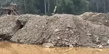 PETI Makin Bebas Merusak Hutan TNKS