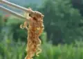 Makanan Sering Dikonsumsi Bisa Merusak Ginjal