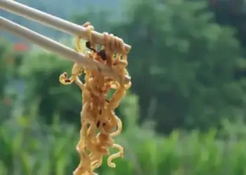Makanan Sering Dikonsumsi Bisa Merusak Ginjal