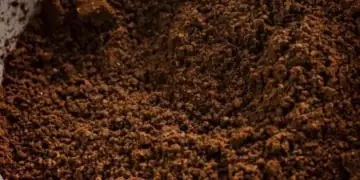 Manfaat Ampas Kopi