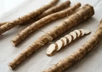 Tanaman Herbal yang Kaya Antioksidan