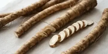 Tanaman Herbal yang Kaya Antioksidan