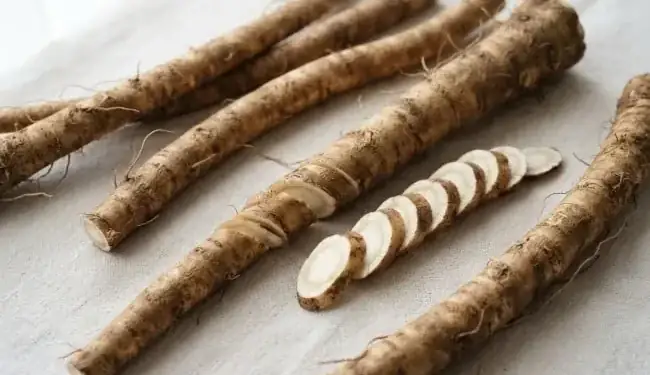 Tanaman Herbal yang Kaya Antioksidan